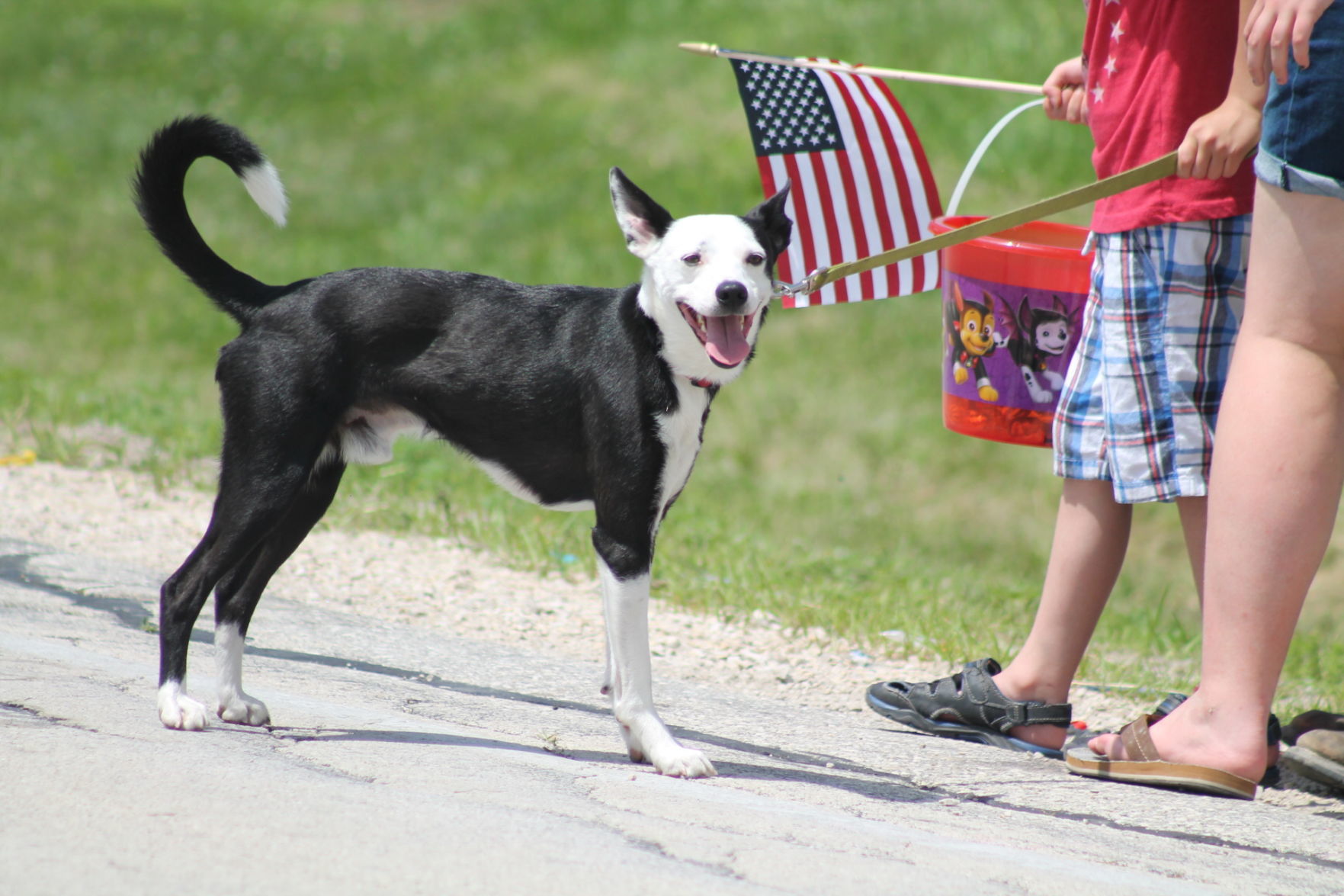 Knowles July 4 Parade 098.JPG